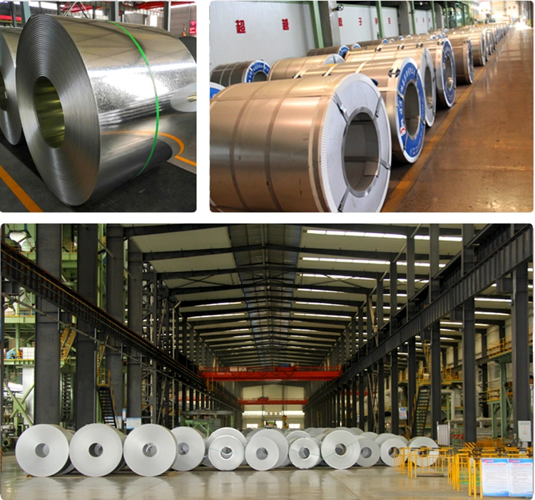 1250mm Wide Galvanized Steel in Coil Use in Agriculture Corrosion Resistant Dx53D Galvanized Steel Coil