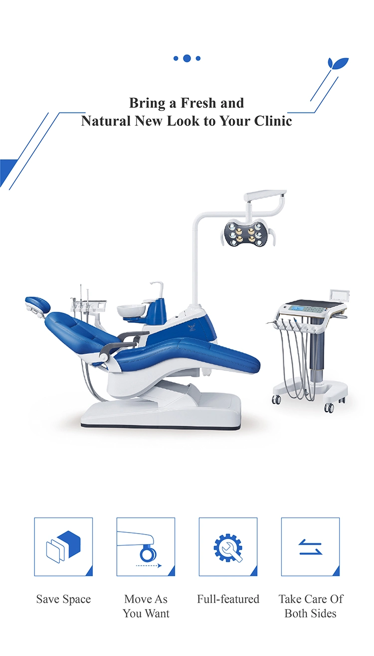 Leather Cushion Ce&ISO Approved Dental Chair Dental Equipment India/Latest Dental Products/Eagle Dental Supply